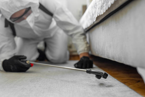 Professional Termite Control technician working in Oldsmar, FL